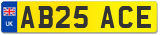 AB25 ACE