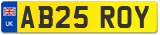 AB25 ROY