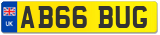 AB66 BUG