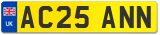 AC25 ANN