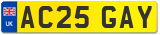 AC25 GAY