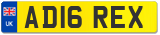 AD16 REX