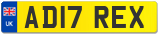 AD17 REX