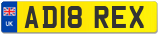 AD18 REX