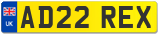 AD22 REX