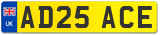 AD25 ACE