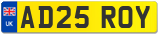 AD25 ROY