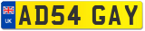 AD54 GAY