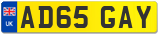 AD65 GAY