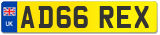 AD66 REX