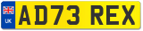 AD73 REX