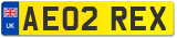 AE02 REX