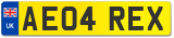 AE04 REX