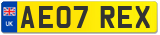 AE07 REX