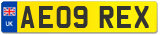 AE09 REX