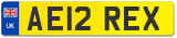 AE12 REX