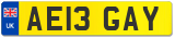AE13 GAY