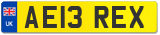 AE13 REX