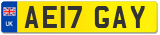 AE17 GAY