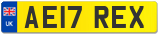 AE17 REX