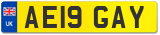 AE19 GAY