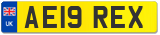 AE19 REX