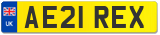 AE21 REX