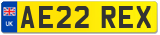 AE22 REX