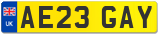 AE23 GAY