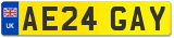 AE24 GAY