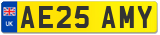 AE25 AMY