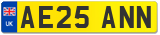AE25 ANN