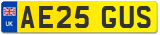 AE25 GUS