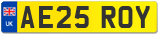 AE25 ROY