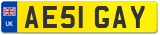 AE51 GAY