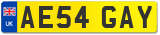 AE54 GAY