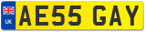 AE55 GAY