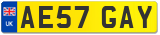 AE57 GAY