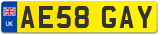 AE58 GAY