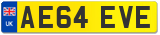 AE64 EVE