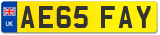 AE65 FAY