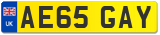 AE65 GAY