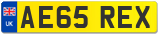 AE65 REX