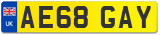 AE68 GAY