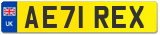 AE71 REX