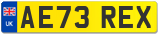 AE73 REX