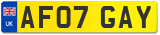 AF07 GAY