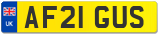 AF21 GUS