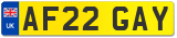 AF22 GAY