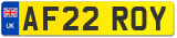 AF22 ROY